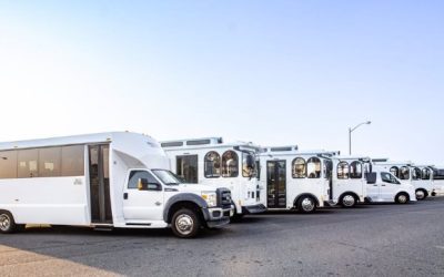 Questions to Ask A New Jersey Transportation Company Before You Hire Them For Your Wedding